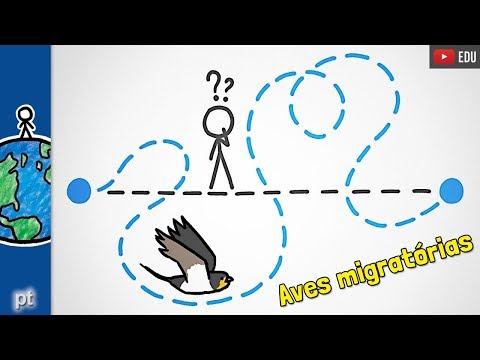 Vídeo: Quais Pássaros Não São Migratórios