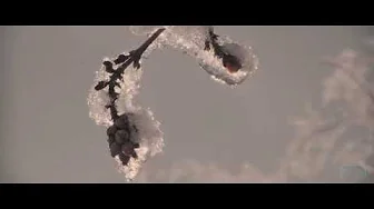 Wintertraum im Erzgebirge - cinematic colours and lights - GH5s 400Mbit intern