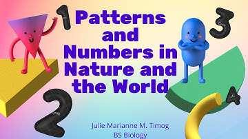 Patterns and Numbers in Nature and the World