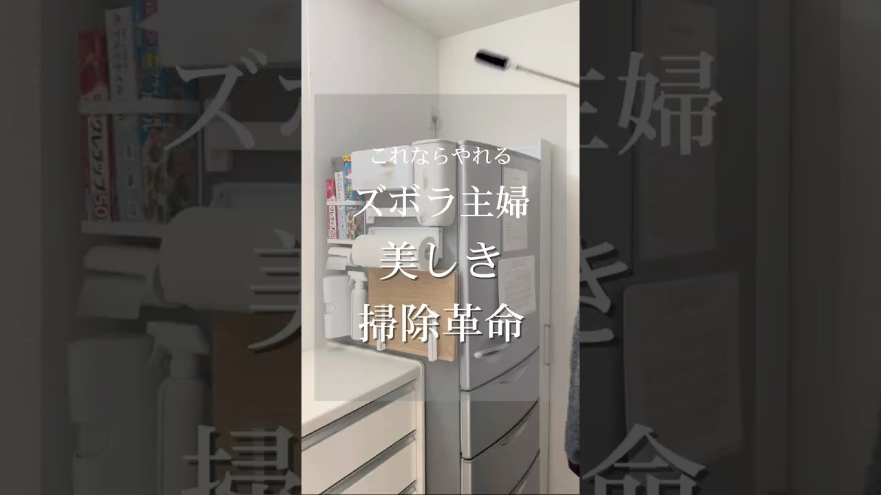 【これならやれる】ズボラ主婦美しき掃除革命