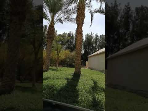 شطحات 1 خداع العقل وخدعة الحواس هل الكون وهم 18 88