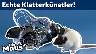 Was haben ein Roboter und eine Ratte gemeinsam? | DieMaus | WDR