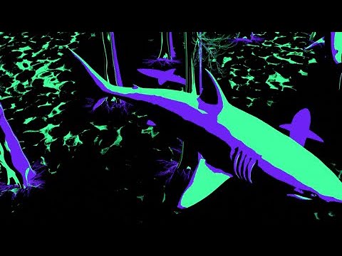 The Internet Hold On Slowed Reverb 