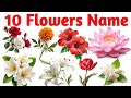 Flowers & Vehicles Names for Kids 🌸🚗 | Learn Names with Pictures & Sounds | Educational Video