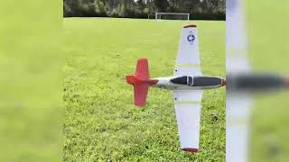 Voltanex RC airplane review test flight and hawk attack
