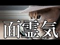 面霊気 薔薇十字探偵の疑惑