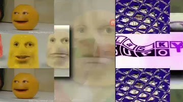 48 shuric scans with are slides (48-8000)