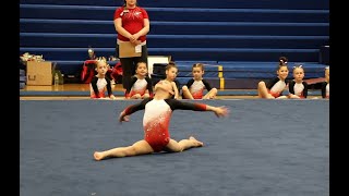 Level 3 floor routine, 1st place 9.225