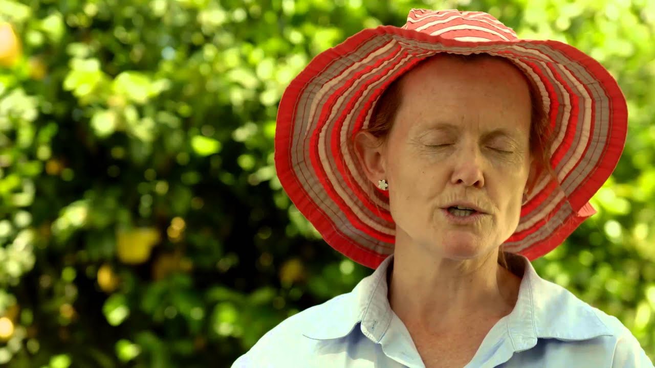 Fruit Hygiene | Moira Berrigan Shires