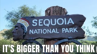 BEST GUIDE HOW TO TOUR SEQUOIA NATIONAL PARK