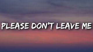 P!nk - Please Don't Leave Me (Lyrics)