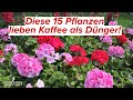 Diese 15 Pflanzen kannst du mit Kaffee düngen