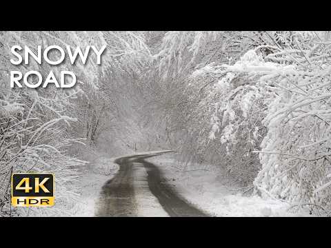 4K HDR Snowy Road – Peaceful Forest Snowfall Ambiance