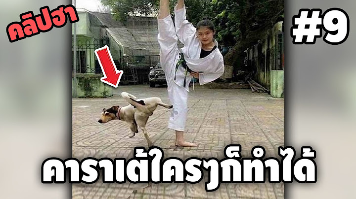Ep.9 เบสไวน์ รวมคลิปฮา SS4 - [ พากย์นรก ]