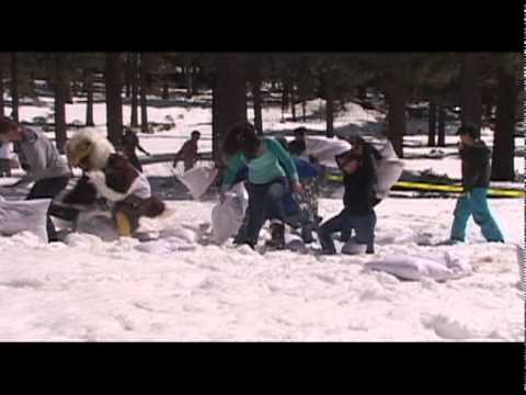 cold brew coffee Sierra Nevada College PilloSnow