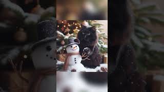 Cat Playing With Snowman |#Shorts #Viralshorts #Cat