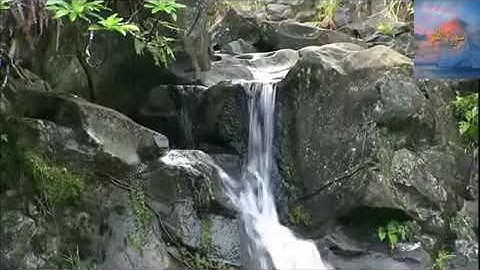 الا بذكر الله تطمن القلوب القرآن الكريم عامر الكاظمي