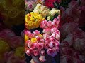 Love language ♥️#song #bollywood #trendingshorts #love #viralshort #flowers #lovelanguage #girlthing