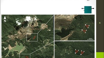 Silent forests: how does noise pollution affect Brazilian biodiversity [Marina Duarte]