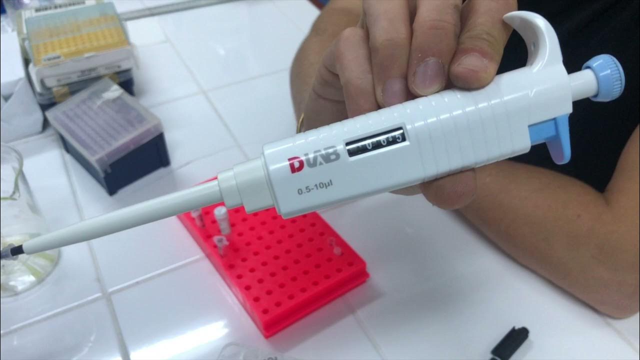 How to do a PCR. Mini PCR from MINI PCR BIO (Video 1) YouTube