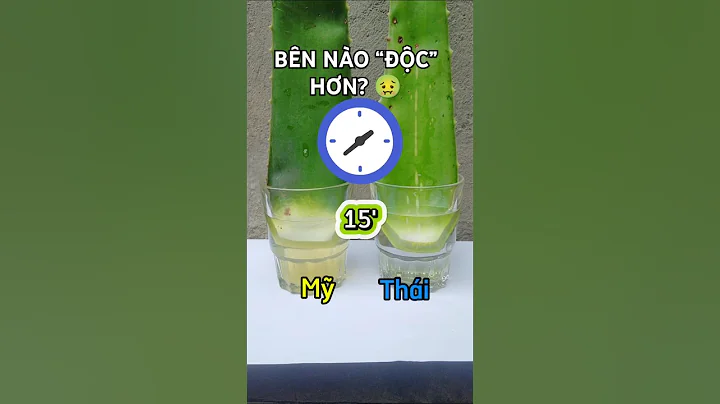 15 Phút Ngâm Nha Đam – Một Bên Khiến Tôi Hốt Hoảng 😱