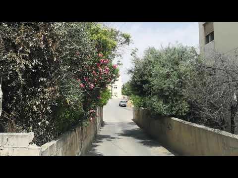 من حارات شوارع و زقاق مدينة أبو نصير