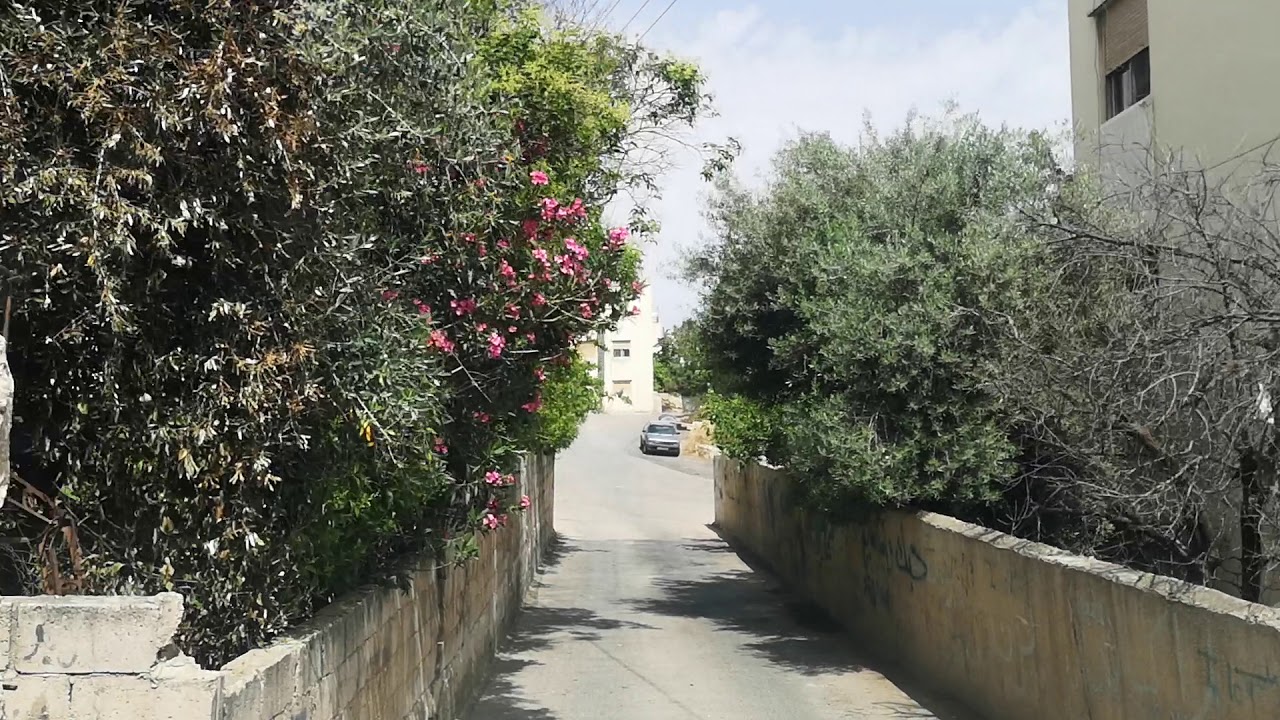 من حارات، شوارع، و زقاق مدينة أبو نصير