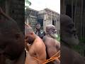 Why this? #vdm #highlights #howtolove #everyone #fypviral #comedy #nnamdikanu #yeshua