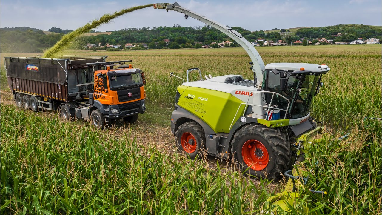 🌽Silaž 2025 | Claas Jaguar 990 | JCB Fastrac 8330 Icon | Tatra Phoenix 4x4