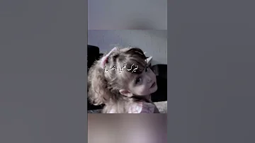 يا قريبة لروحي بدون موسيقى 