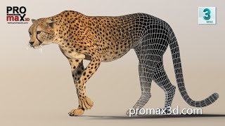 Rigged Cheetah 3D Model for Game, CGI, and VFX | PROmax3D screenshot 4