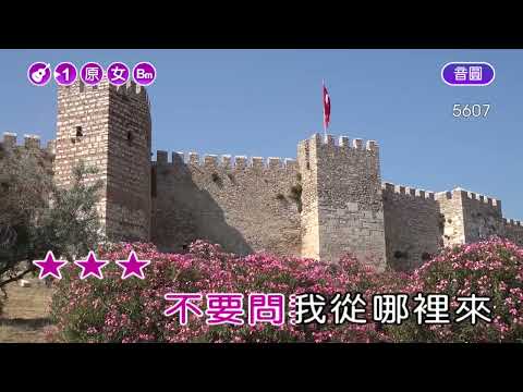 02~橄欖樹~齊豫~女原Bm調~伴奏~導唱3顆~無live鼓(丙)