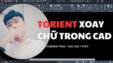 TORIENT XOAY CHỮ TRONG AUTOCAD