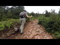 (DIV-186) Joseph Fortin & Richardson (1080 à 1180 mètres) - (Gaspésie 2020)