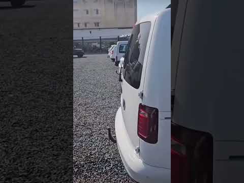 سعر   2019 في الجزائر