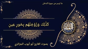 ماتيسر من سورة الدخان بصوت القارئ أبو أيوب الجزائري