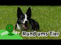 Rund ums tier  vor ort