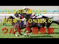 【競馬】回収率プラスジョッキーに丸乗り!!一日で払い戻し10万超え!!【検証】