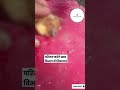 छत्तीसगढ़ में सीएम का समोसा को लेकर विवाद #samosa #ChhathPuja_AgainstScriptures