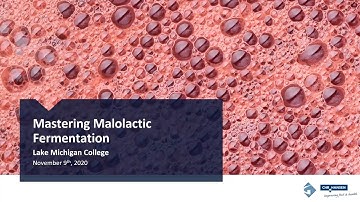Mastering Malolactic Fermentation - Lake Michigan College Webinar