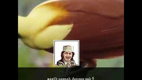 CAK NUN MIKUL DUWUR MENDHEM JERO