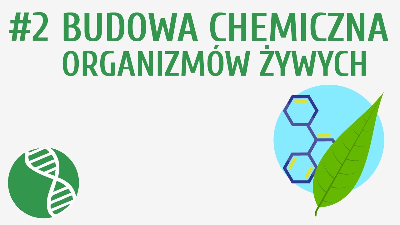 Budowa Chemiczna Organizmów Sprawdzian Liceum Budowa chemiczna organizmów żywych #2 [ Organizacja i chemizm życia