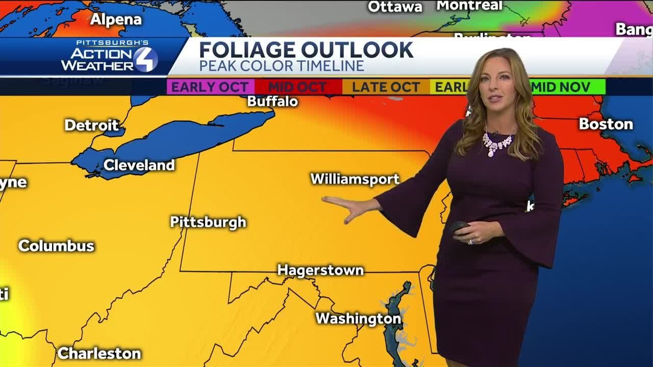 Fall foliage outlook: The peak times for colors in Pennsylvania