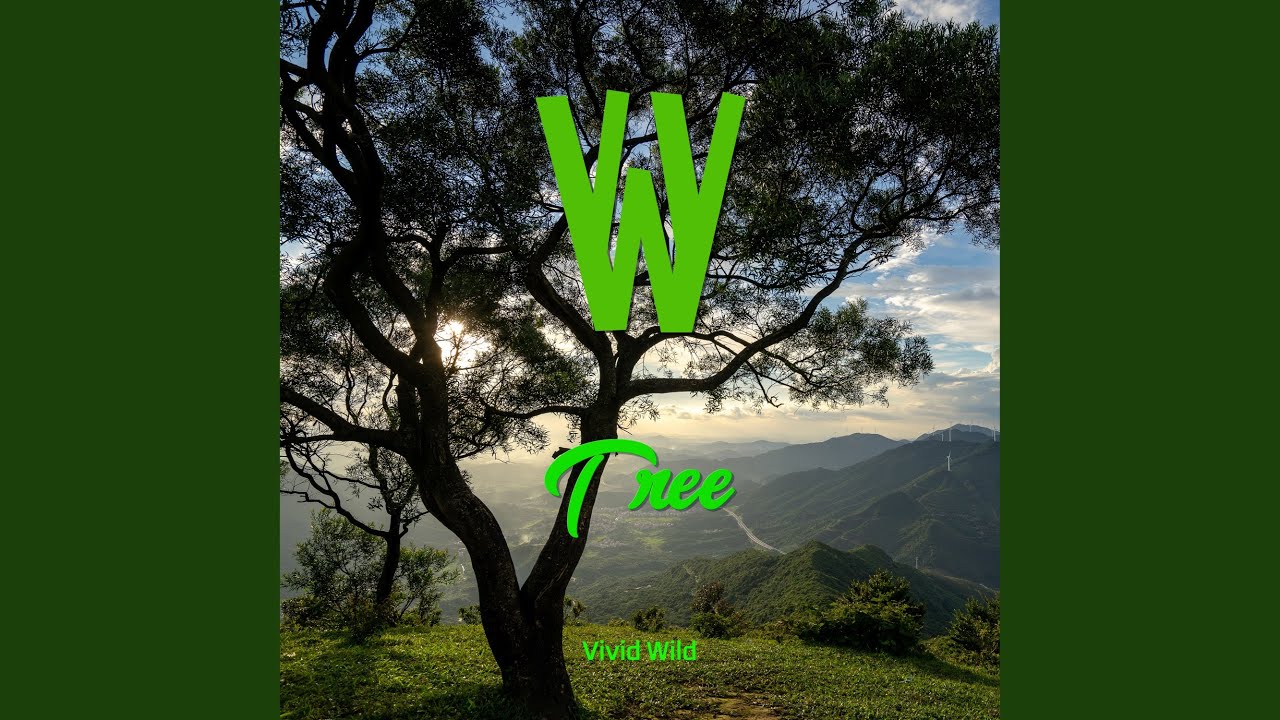 Watch Tree on YouTube Watch Tree on YouTube