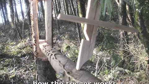 Survival Skills: Siberian Deadfall Trap