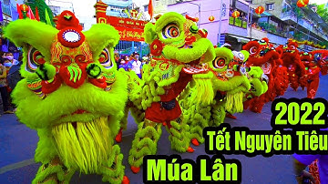 Múa Lân Cực Hay 2022 / Tết Nguyên Tiêu diễu hành Lân Sư Rồng Đẹp Nhất Việt Nam