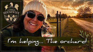 Building Our Dream Duck Orchard | 4 Months, One Incredible Transformation