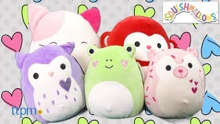 Squishmallows Valentine S Day Plush From Kellytoy Youtube Squishmallows make great pillows, bedtime buddies and travel companions! squishmallows valentine s day plush from kellytoy