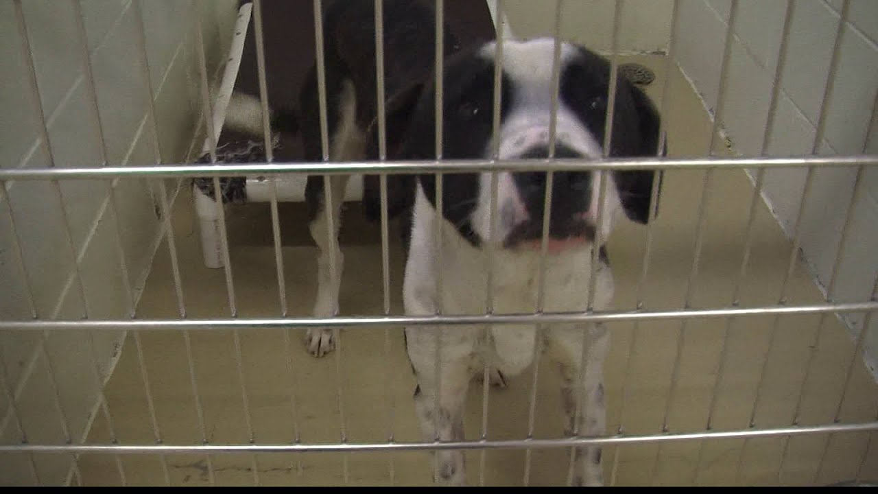 LOCAL CHARITIES STILL NEED HELP - YouTube