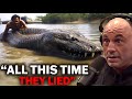 Joe Rogan - LIDAR Scan Discovered 60 Foot Anaconda In The Amazon